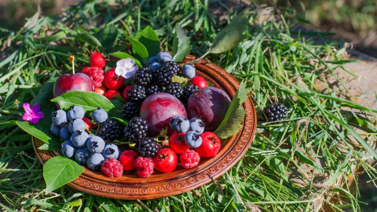 Fresh berries with green leaves