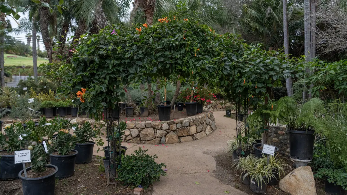 Garden archway with potted plants