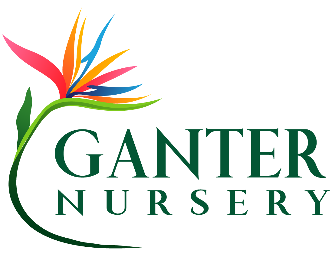 Logo with colorful abstract shapes and green text.